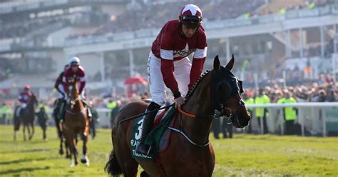 grand national|grand national 2019.
